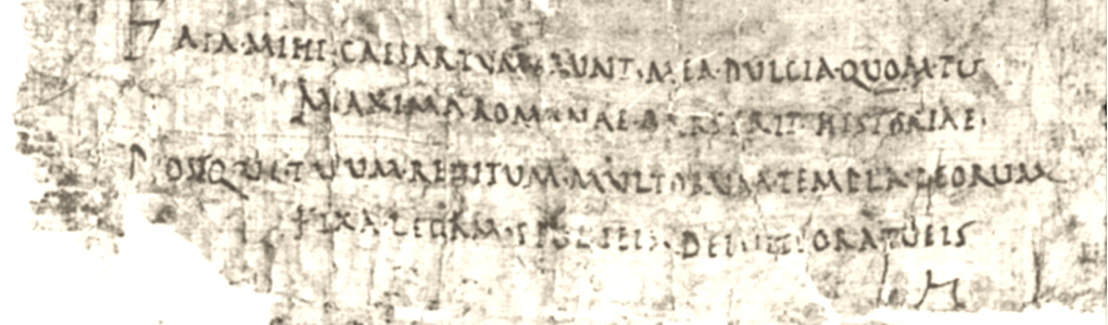 Gallus papyrus